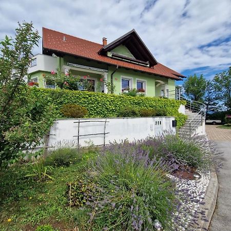 Green House Apartment Pivka Luaran gambar