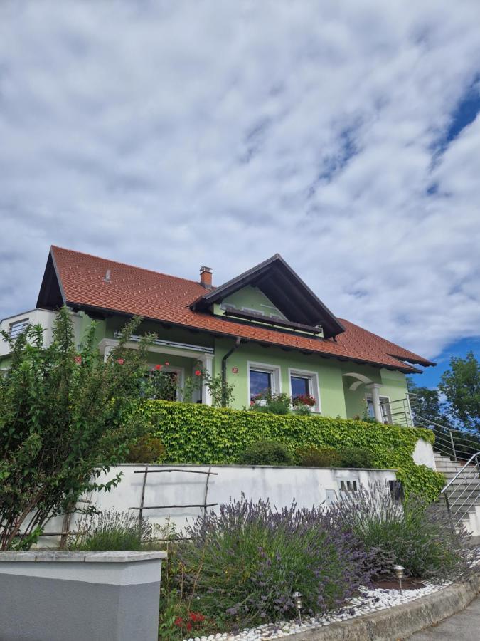Green House Apartment Pivka Luaran gambar